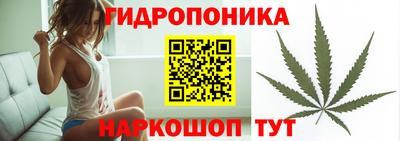 гашик Краснокаменск