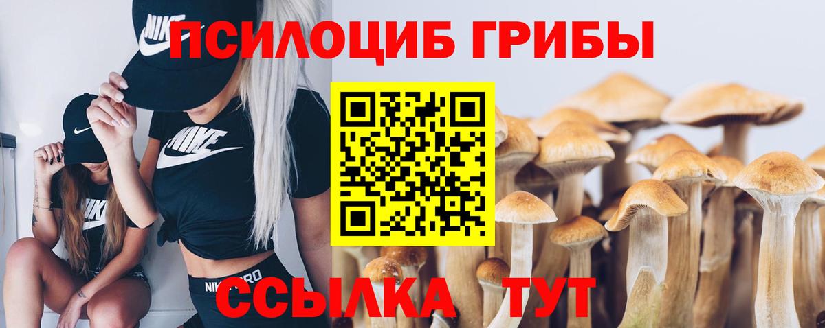 Кашира  Галлюциногенные грибы Cubensis  Галлюциногенные грибы ЛСД  Вход с VPN 